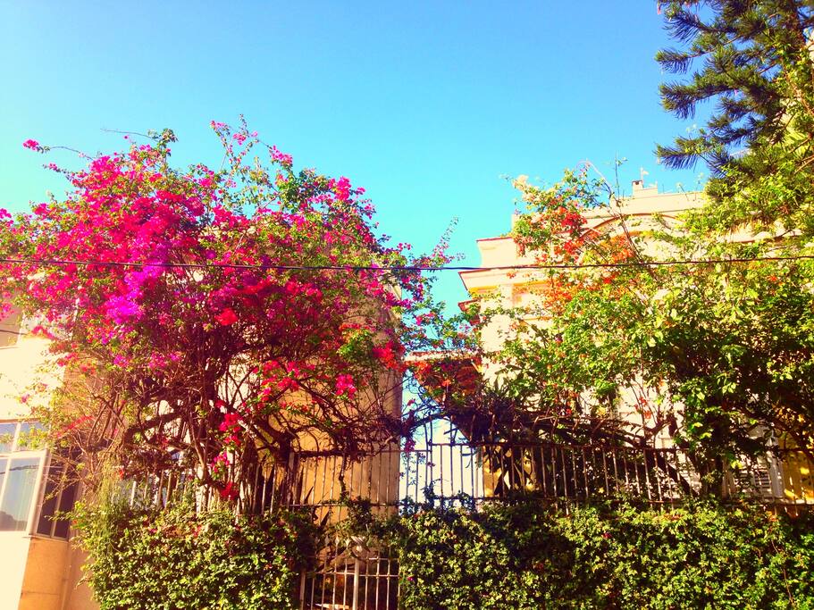 Rua Faro