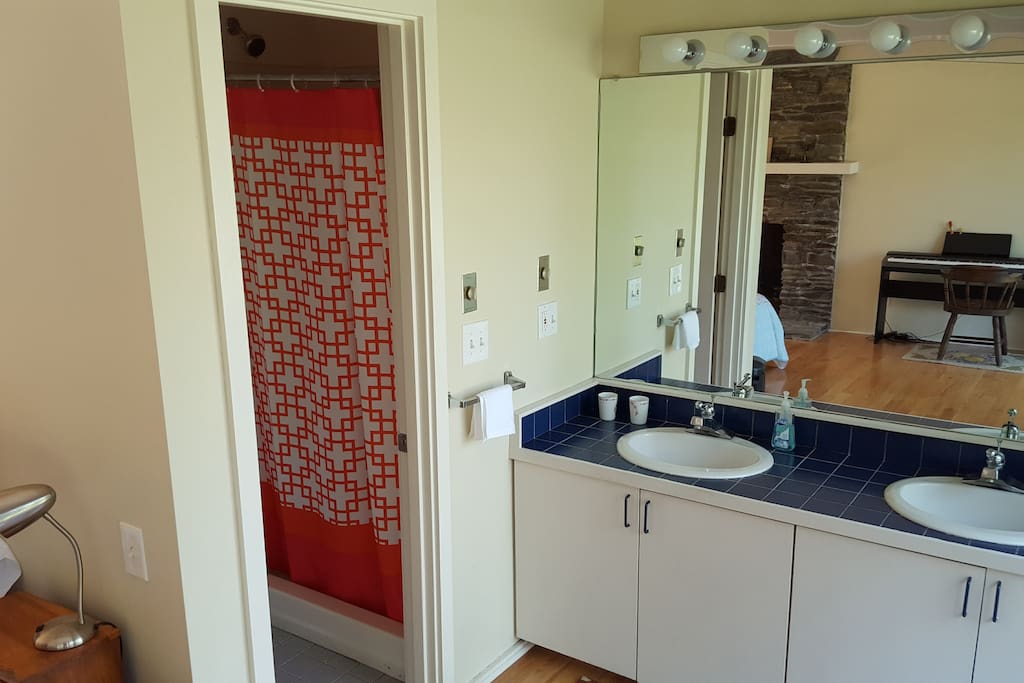 Private bathroom and shower.