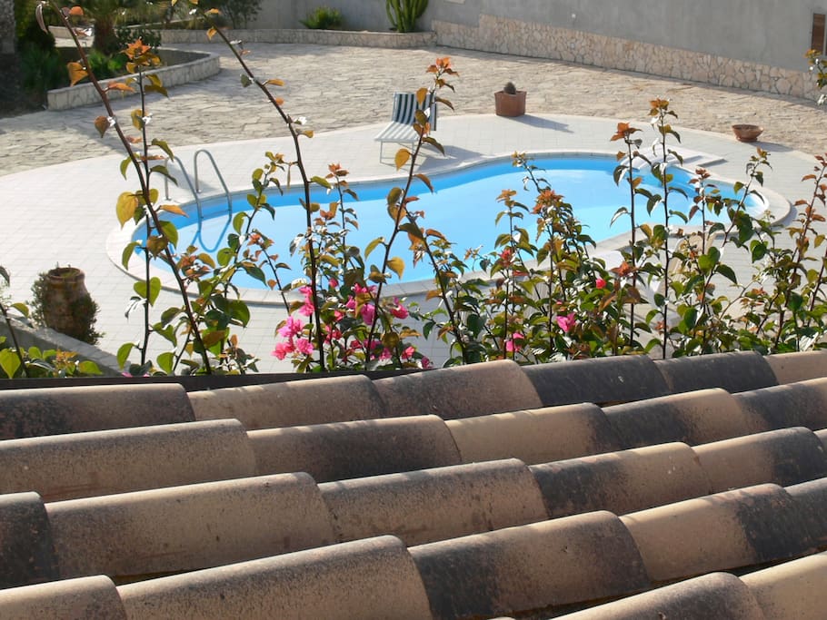 La piscina