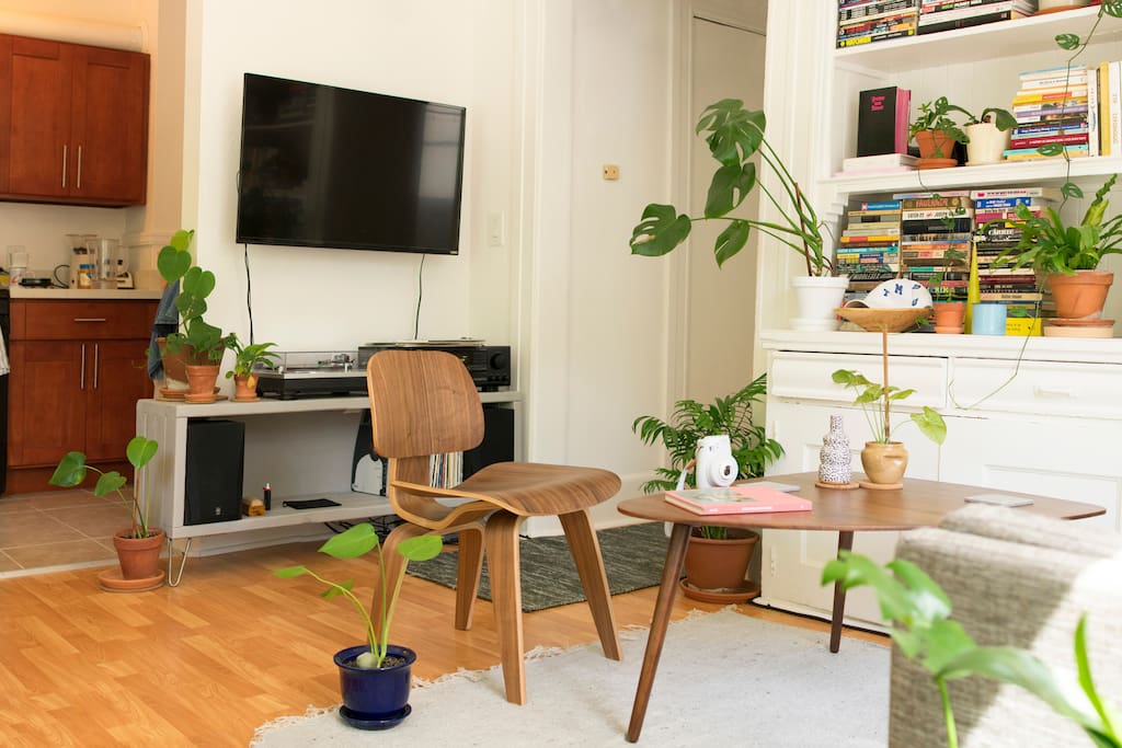 Single studio room with lots of light and plants!