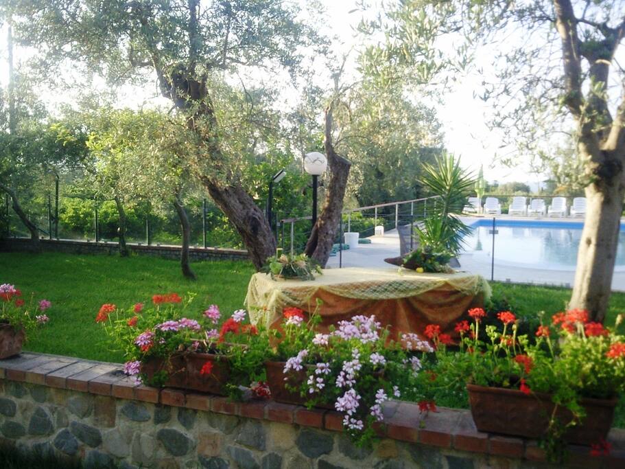 zona garden