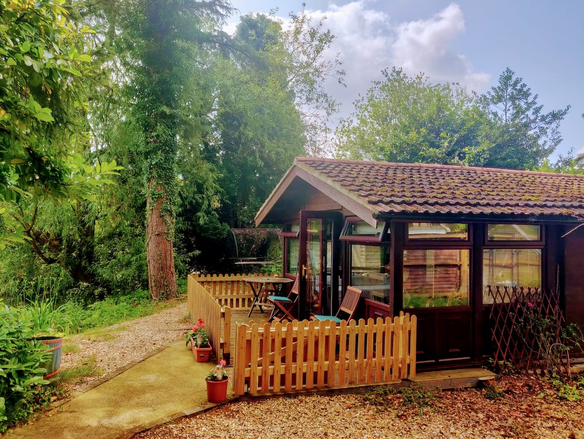 A quaint cottage features a welcoming front porch surrounded by a wooden fence, with chairs positioned for outdoor seating. Lush greenery frames the structure, while a mix of trees and plants creates a serene atmosphere. Natural light streams through the large windows of the conservatory.