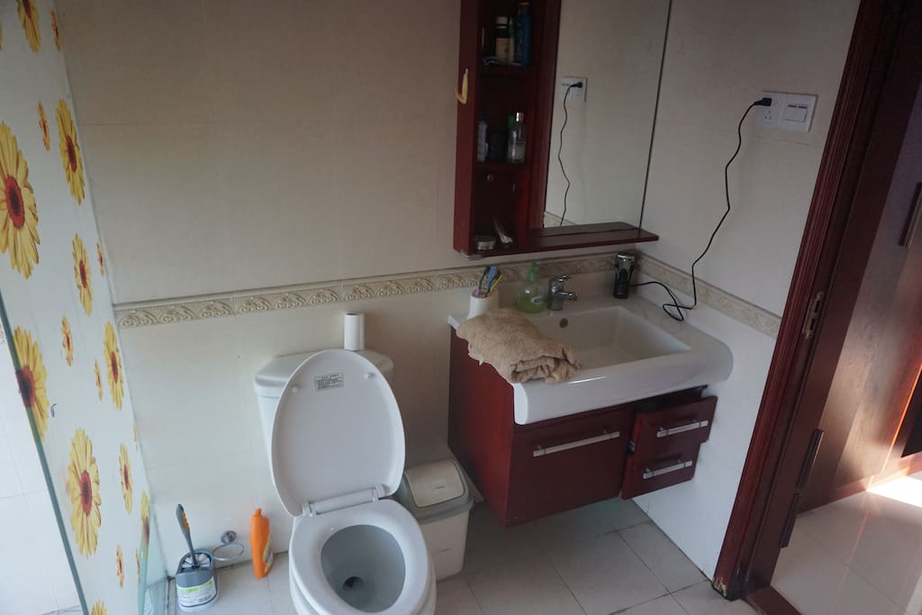 Western style toilet