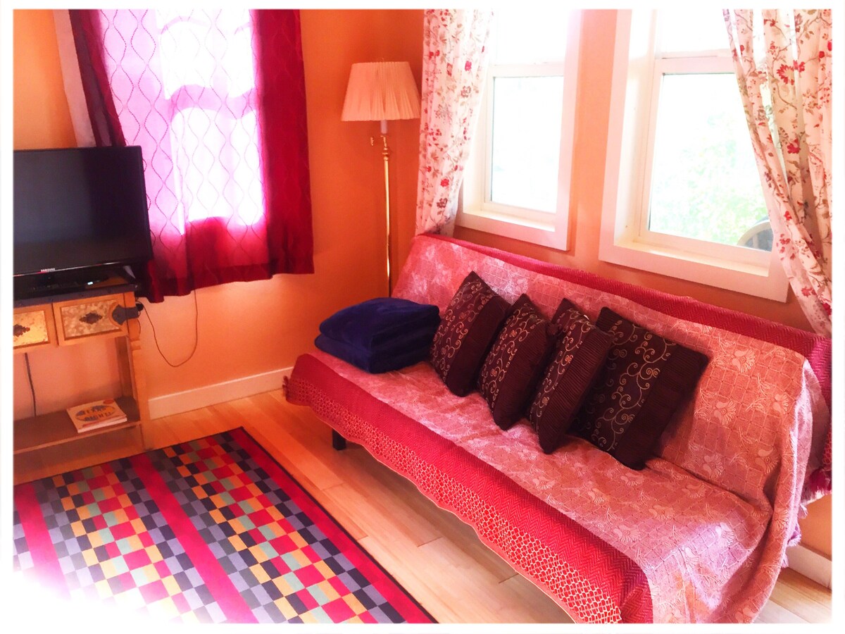 Popular Airbnb listing: Austin Downtown Home in Central East Austin