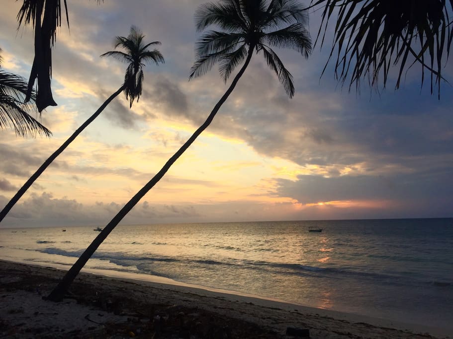 By following a beautiful pathway through the propery for less than 3 minutes, you will find yourself at the white beach of Diani!