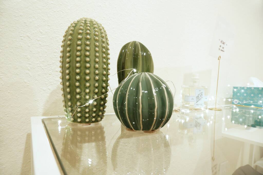 cactus and lights