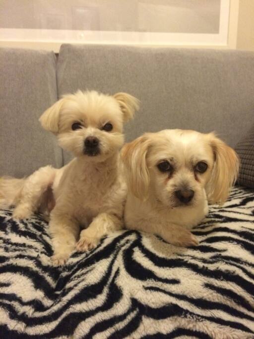 Otto and Kilda