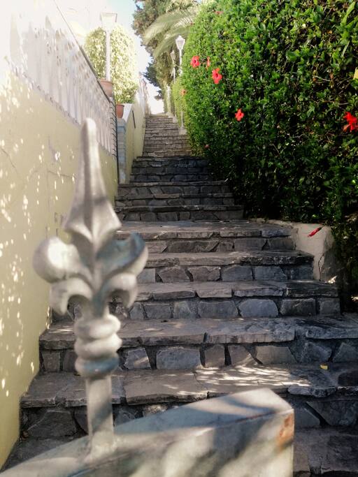 Stairway to Casa Benjamina