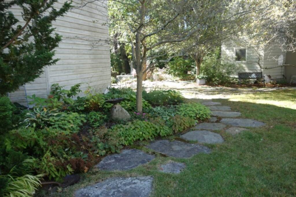 Walkway to the backyard