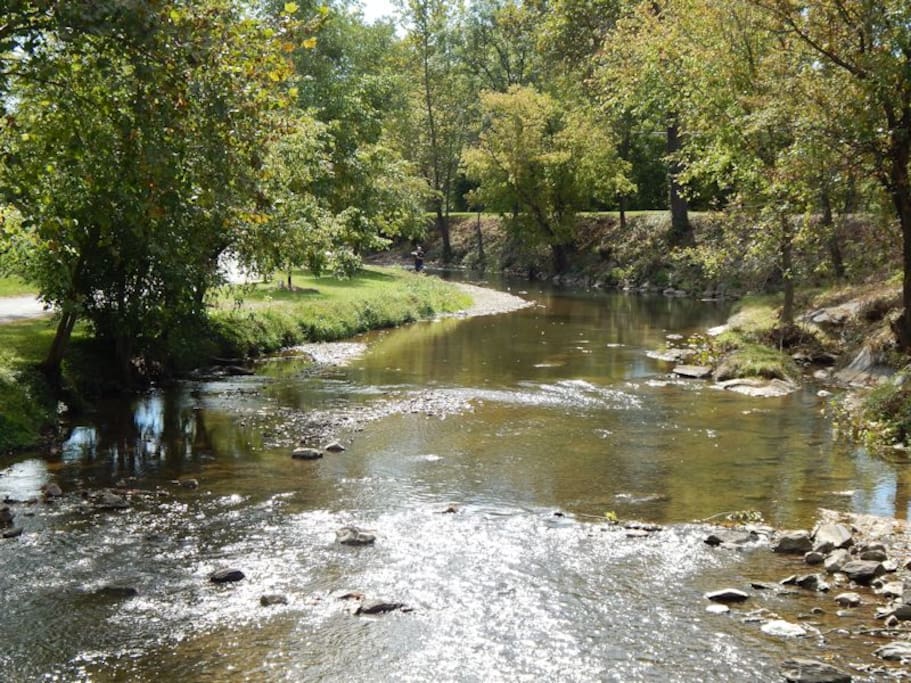 This home is conveniently located across the street from the tranquil Hawksbill Creek, the Hawksbill Greenway's main stage, and just one block from the quaint shops and restaurants on Main Street.