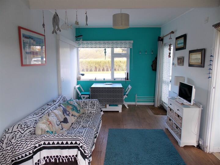 Chalet No 30. Family Chalet On Quiet Site . - Lizard