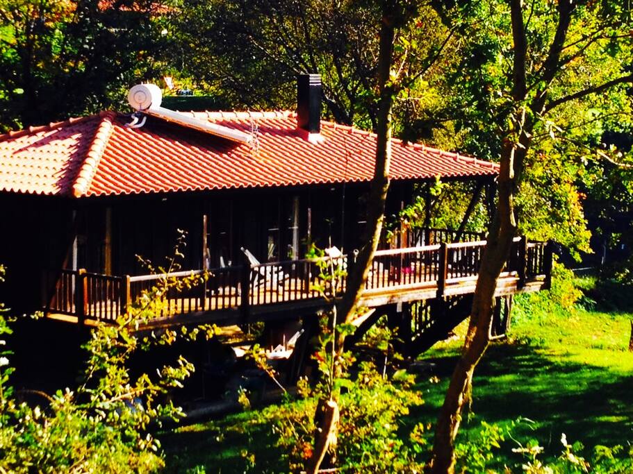 Visão geral Casa da Arvore