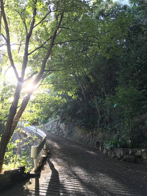 プライベートロードを上っていくとその上にベイウインド ヴィラ が佇んでいます。