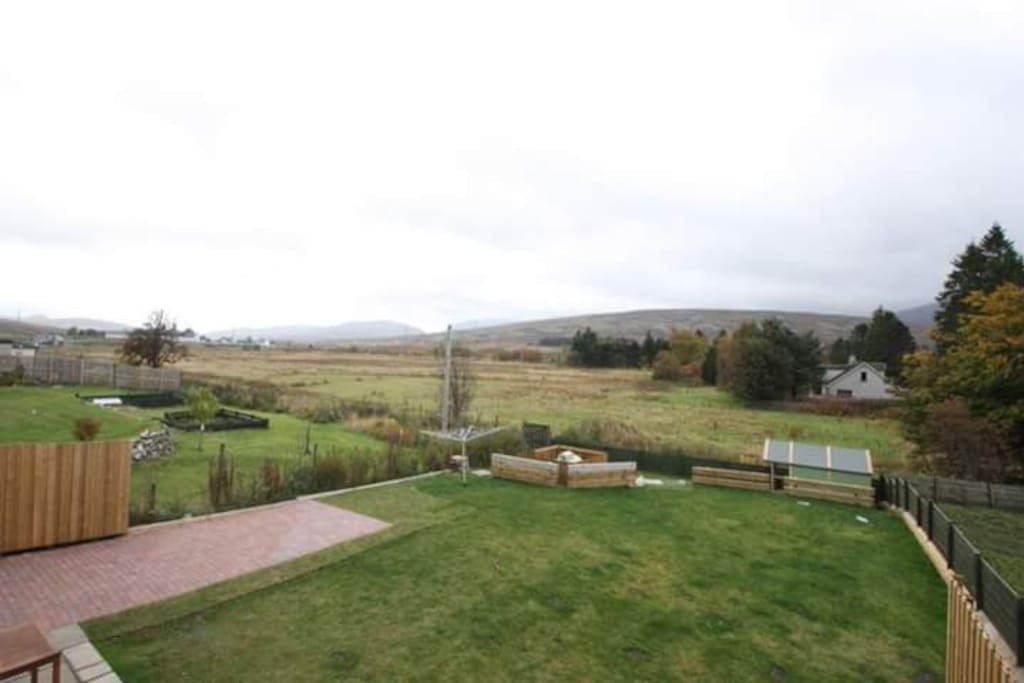 Back Garden