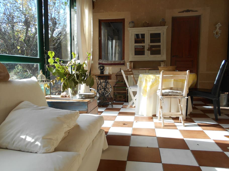 Salón - comedor