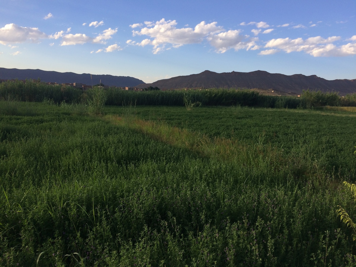 A vast green landscape stretches towards the horizon, with lush vegetation covering the ground. Rolling hills are visible in the background, under a sky filled with scattered clouds. The scene conveys a sense of tranquility and nature's beauty.