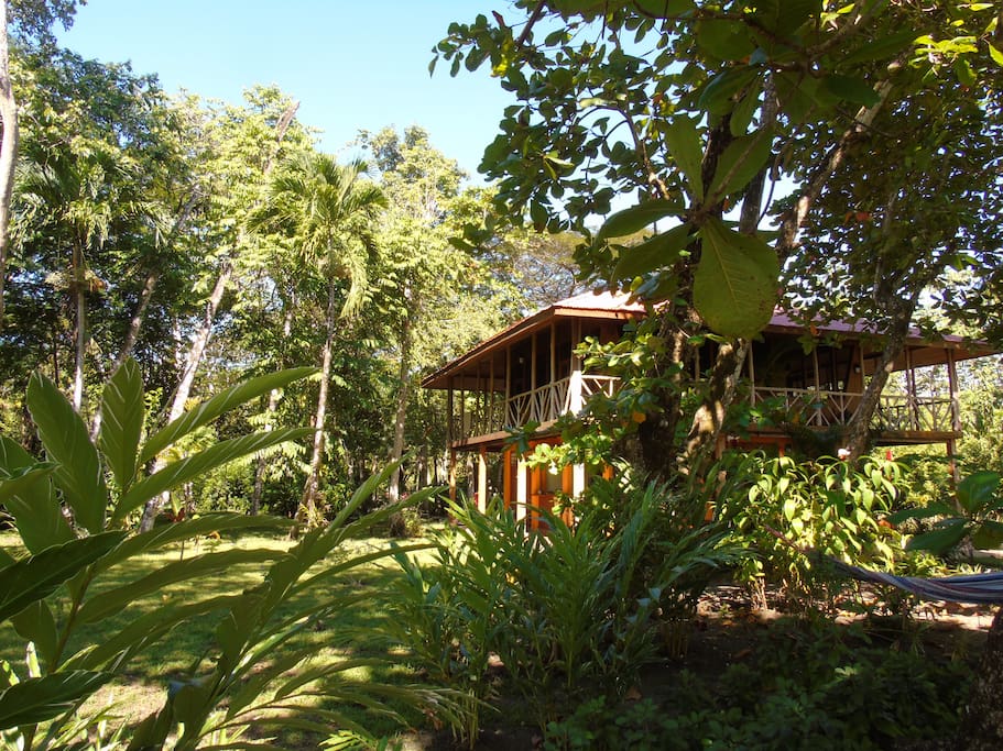 La maison est entourée par un jardin tropical