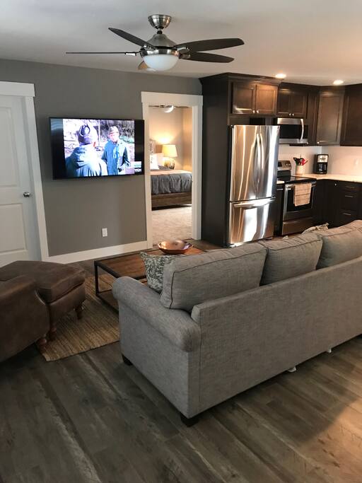 "Great Room" - TV & sofa sleeper
