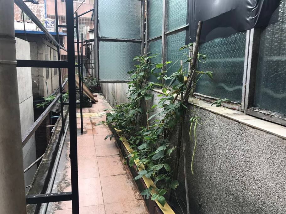 小菜园