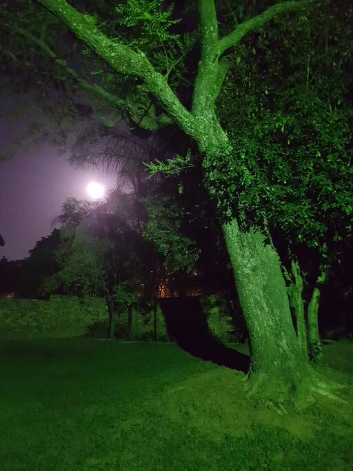 Moonlight outside
