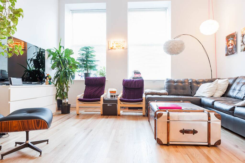 TV. Cable TV. Natural Light. Fantastic living room