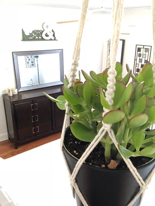 Simple, clean decor