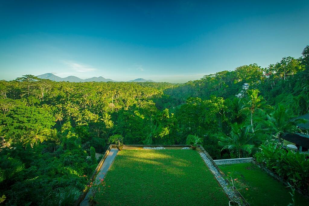 View on the terrace