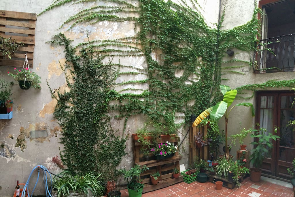 Un hermoso patio para disfrutar de un descanso tomando aire fresco.