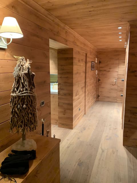 Luxury apartment in the city center