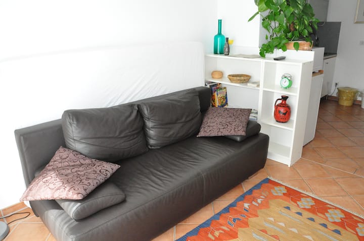 2-zimmer-apartment Am Neckar,nähe Neuenheimer Feld - Heidelberg