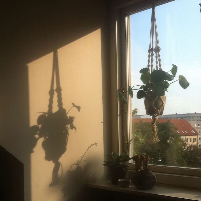 Theres a beautiful light in the livingroom.