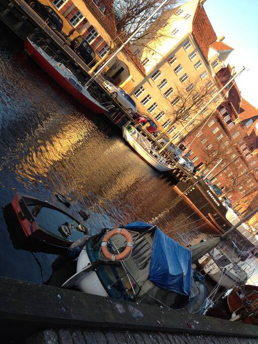 just outside our window onto the canal