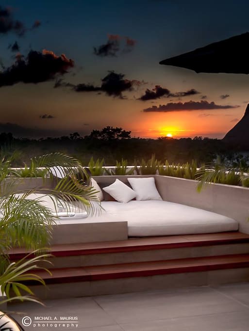 Rooftop garden at sunset!
