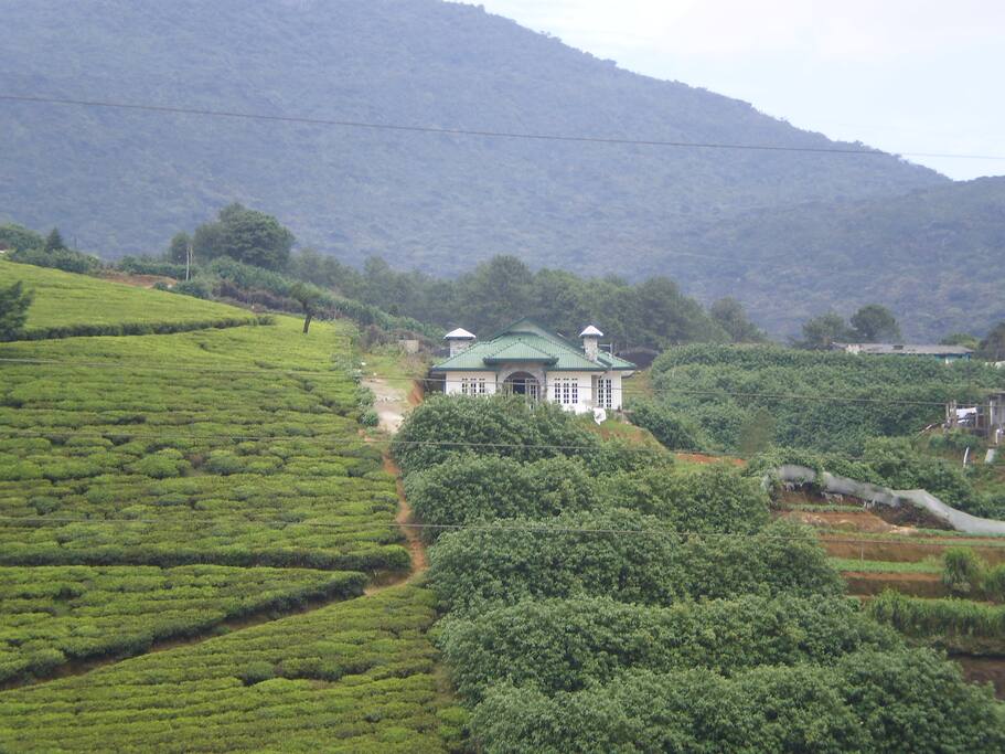 Distance view of the property