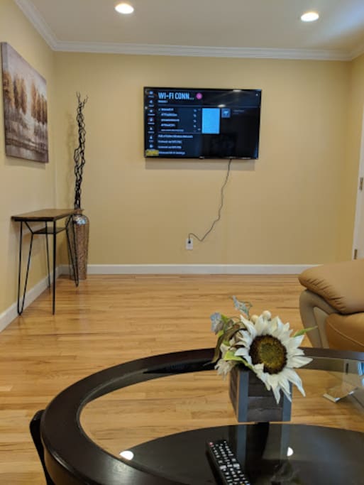 Large 55" Samsung HDTV