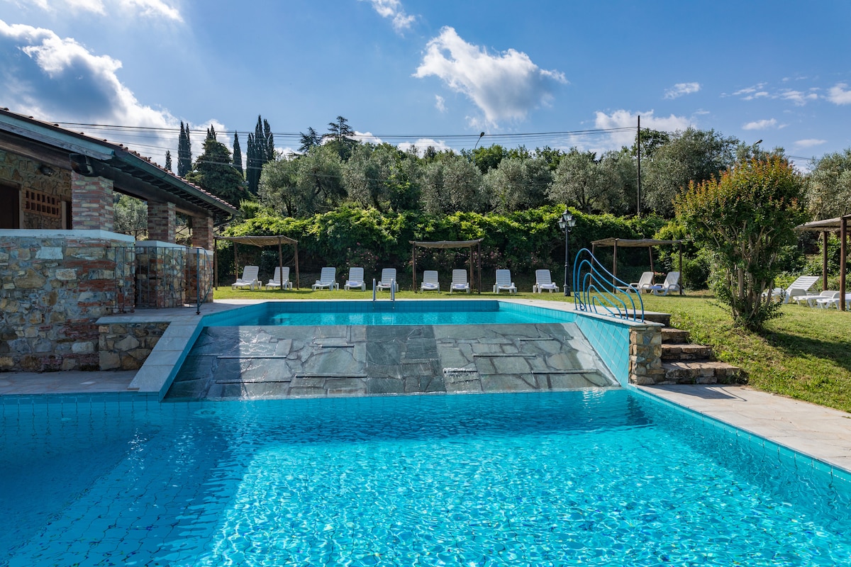 The swimming pool features two levels, with a spacious area shaded by trees. Loungers are arranged nearby on the grass, and the pool is constructed with stone and a light blue tile finish, reflecting the clear sky above. Olive trees can be seen in the background.