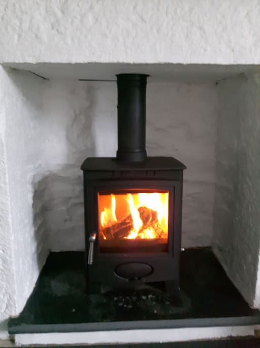 New wood burning fire in front room