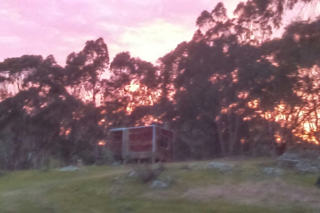 Sunrise