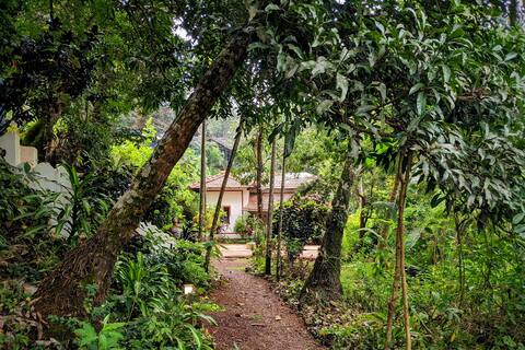 Jungle hideaway house, 10mins to Agonda Beach