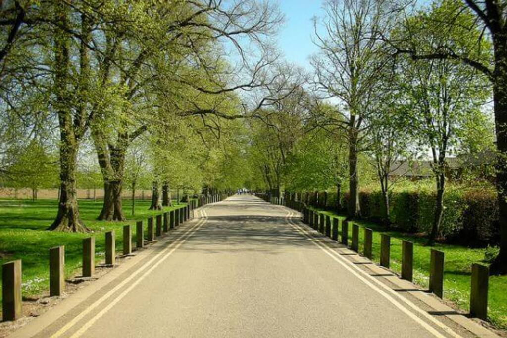 Bute Park - 2 min walk