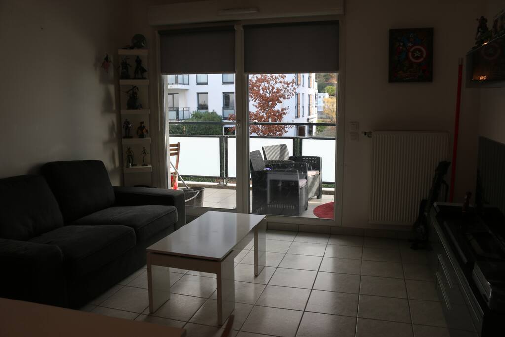Salon - Terrasse