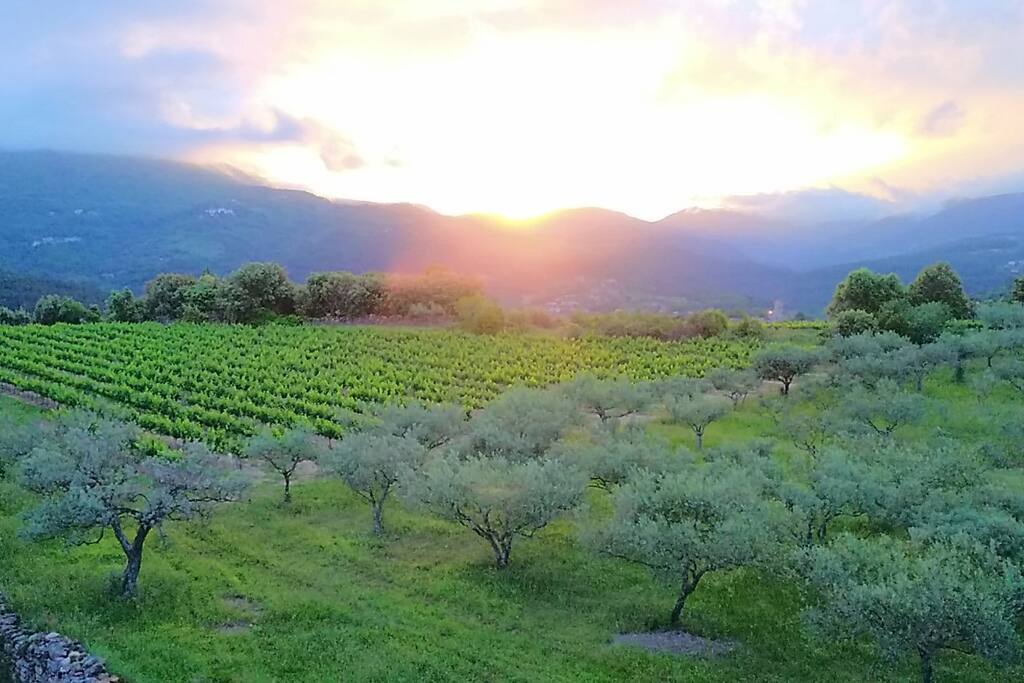 Vue du Domaine