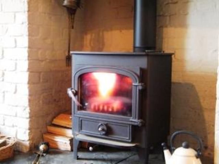 Log Burn in Living Room