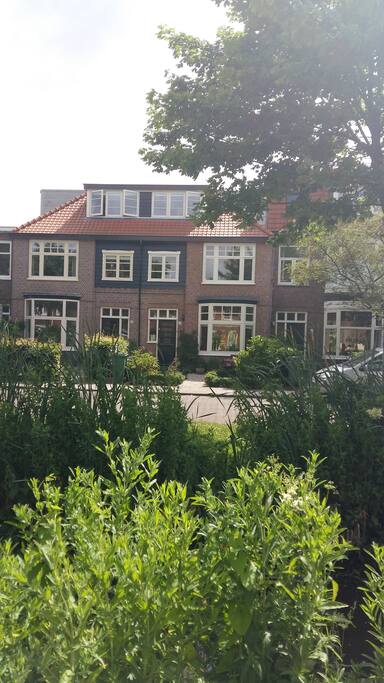 green neighbourhood