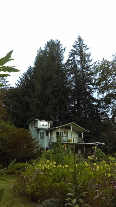 View from the garden
