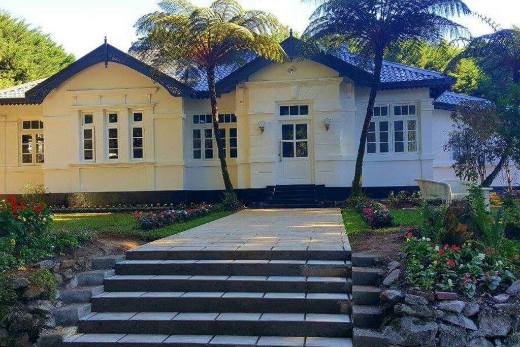 Mirage Kings Cottage ancestry bungalow