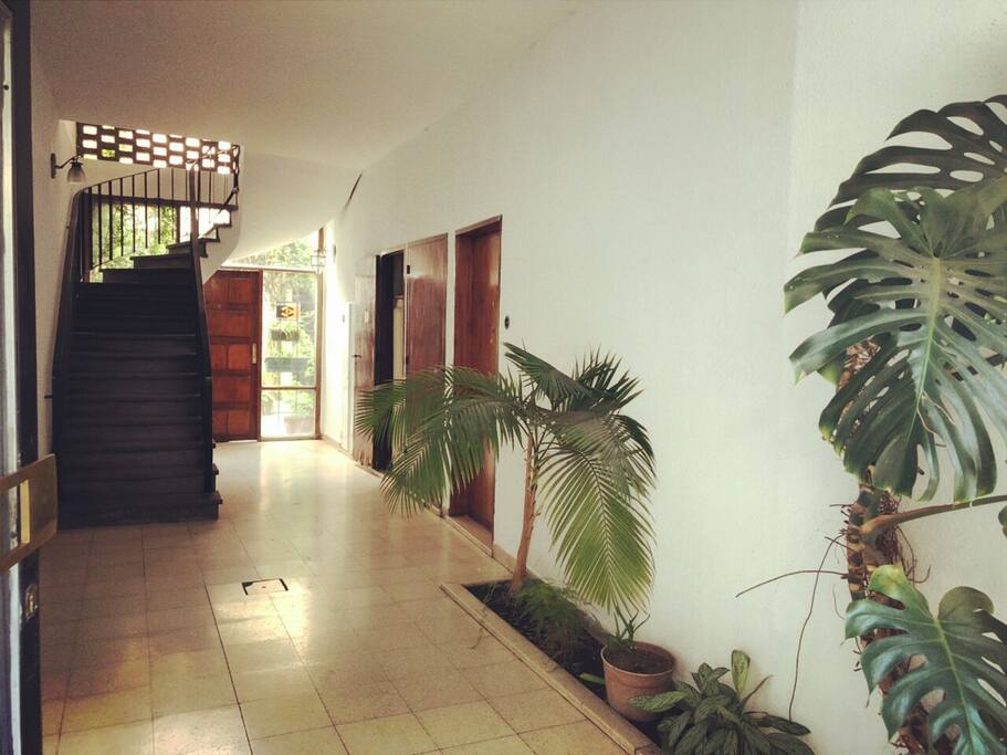 Recepción y escalera - Hall and stairs
