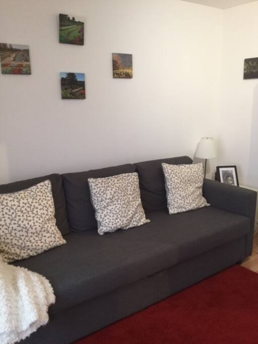 Sofa-bed