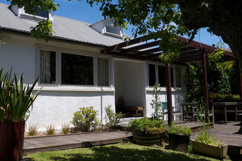 Sunny front yard