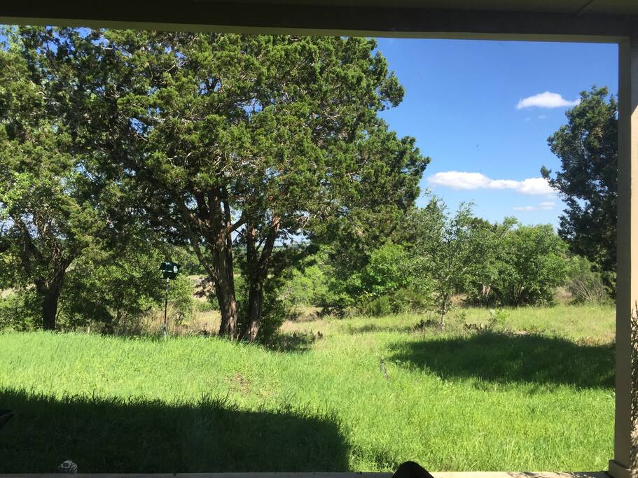 View from "wall of windows"